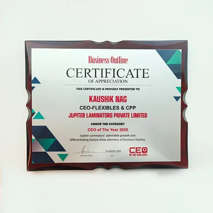 CEO of the Year 2025 Award – Business Outline Recognition 02